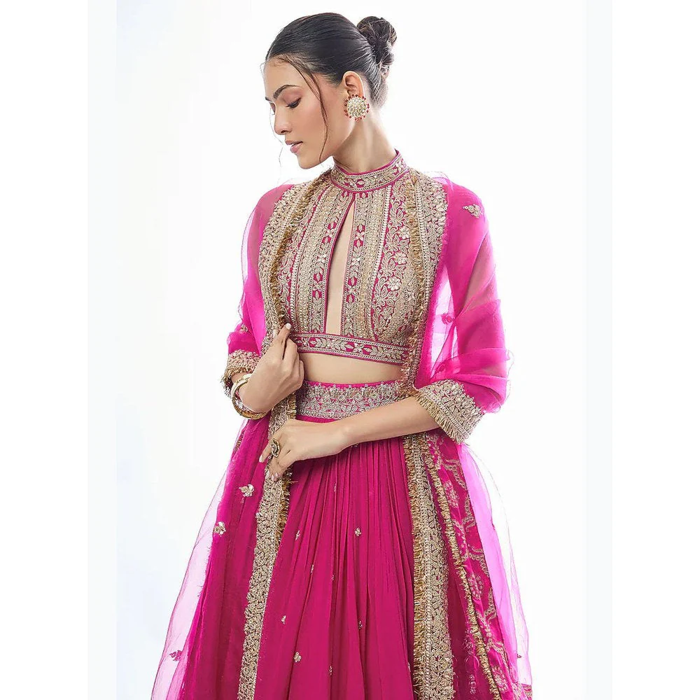 Gopi Vaid Sidra Skirt with Blouse and Dupatta - Image 2