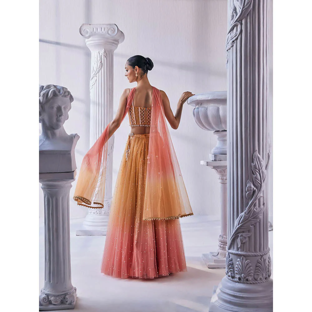 MANDIRA WIRK Ombre Top with Skirt (Set of 4) - Image 3