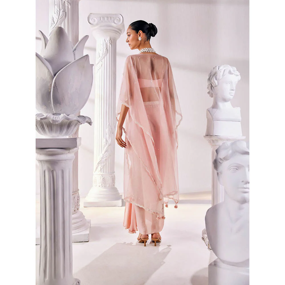 MANDIRA WIRK Peach Fusion Style Top with Skirt (Set of 3) - Image 5