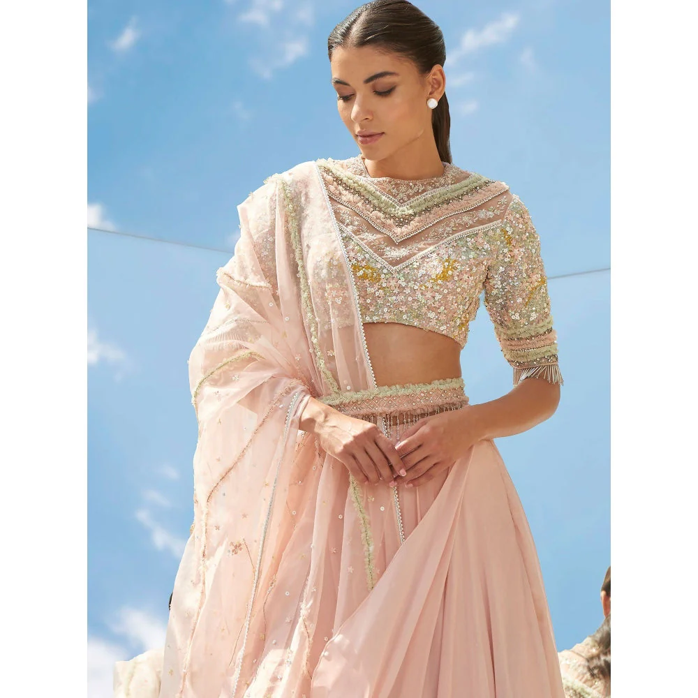 Mandira Wirk Peach Valley Of Flower Embroidered Valley Skirt With Kurta & Dupatta (Set of 3) - Image 5