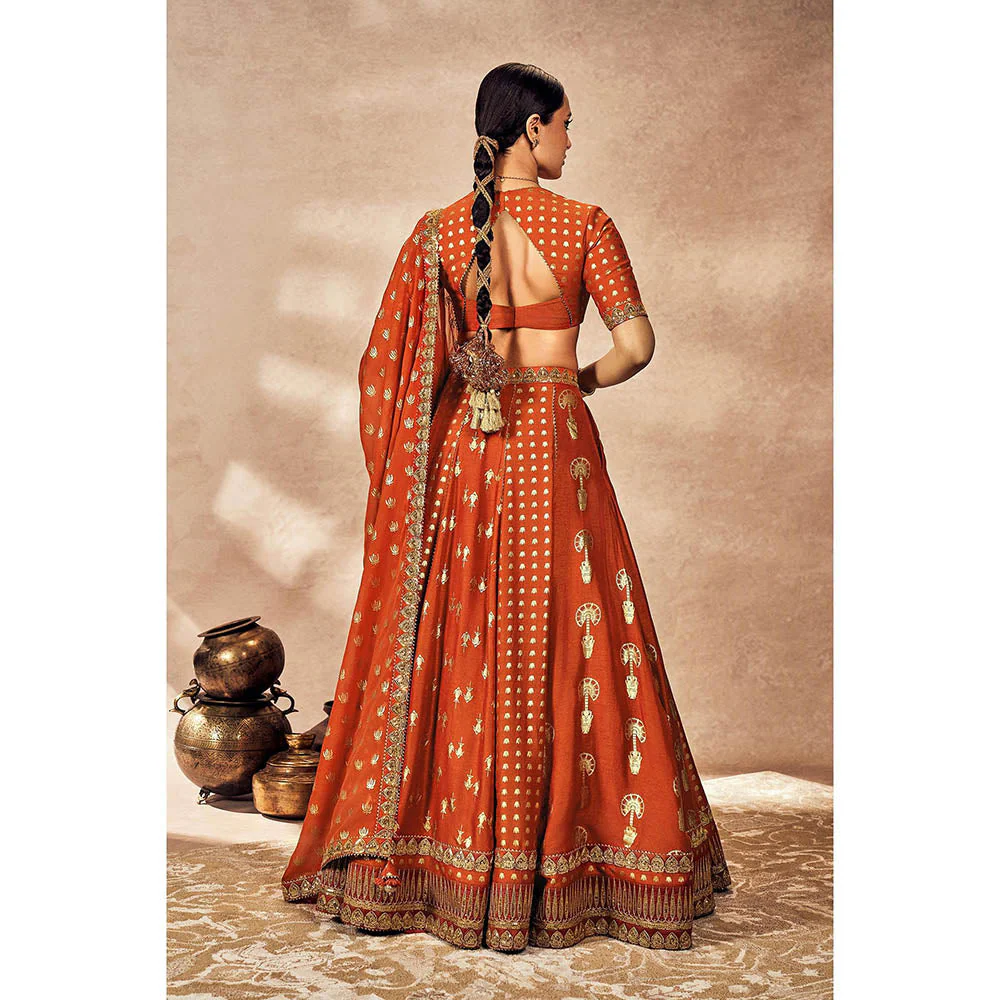 Masaba Rust Foil Lehenga with Blouse and Dupatta (Set of 3) - Image 4