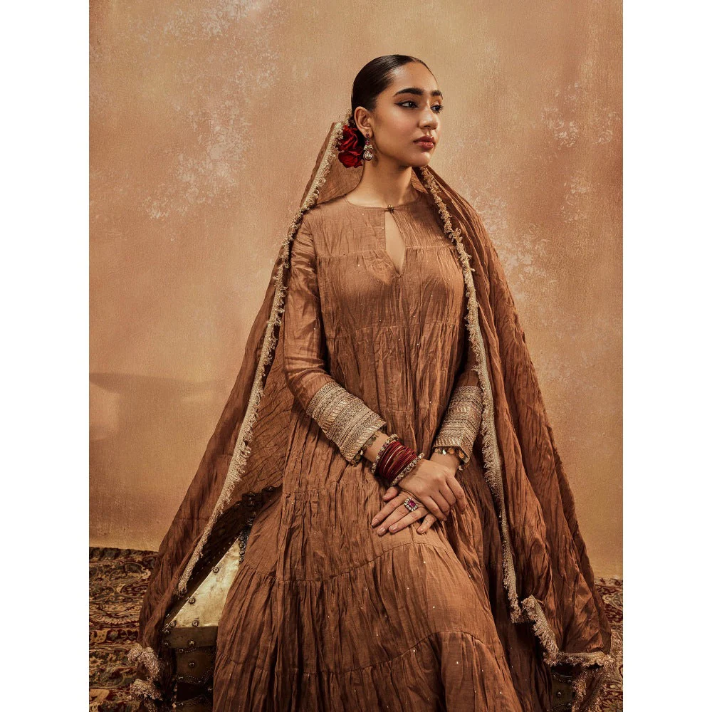 Roze Anam Brown Anarkali with Churidar & Dupatta (Set of 3) - Image 8