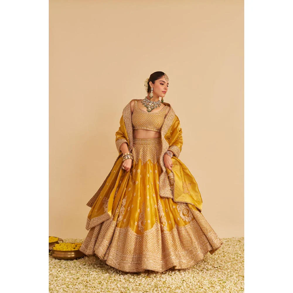 Sheetal Batra Aashina Mustard Lehenga With Blouse And Dupatta Set - Image 5