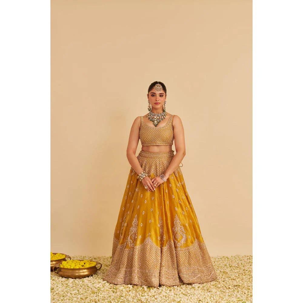 Sheetal Batra Aashina Mustard Lehenga With Blouse And Dupatta Set - Image 6