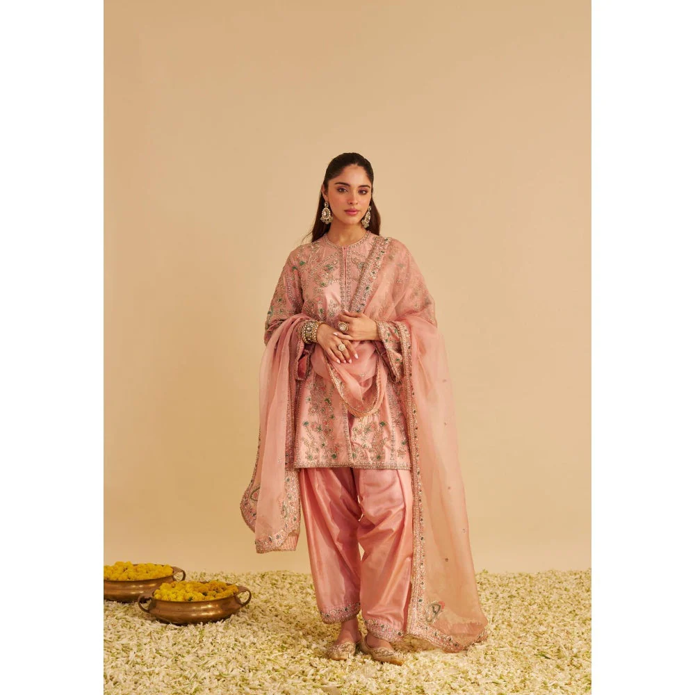 Sheetal Batra Alira Dabka Zardozi Embroidered Peach Kurta with Salwar and Dupatta