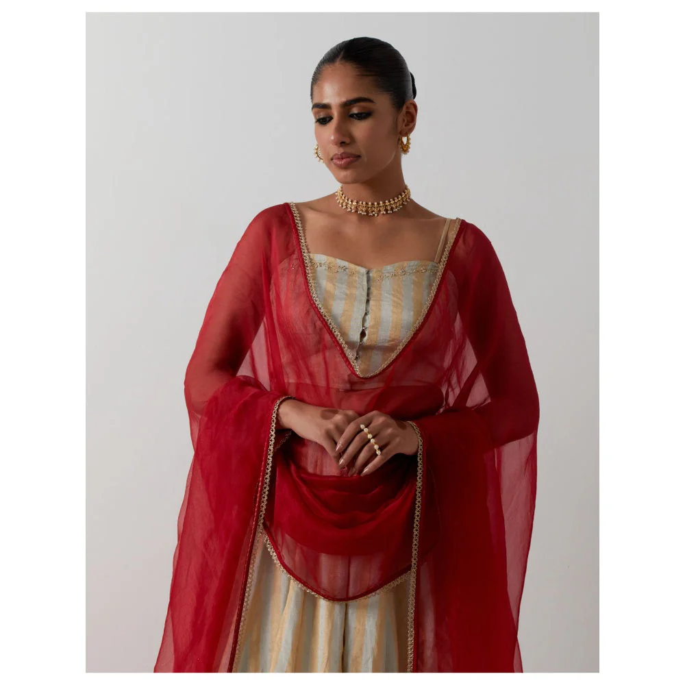 Vinusto Gold & Silver Zari Striped Lehenga with Blouse & Red Dupatta - Image 4