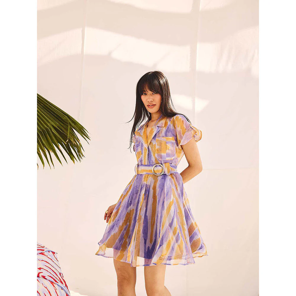 Zip by Payal & Zinal Back To School Dress with Belt - Image 5